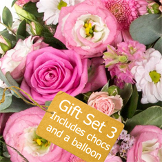 Gift Set 3C - Florist Choice Seasonal Arrangement