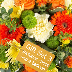 Gift Set 3E - Florist Choice Vase Arrangement