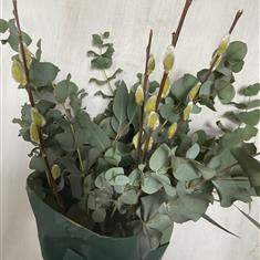 Eucalyptus mix-large