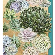 Succulent greetings cards