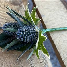 Double Thistle Buttonhole