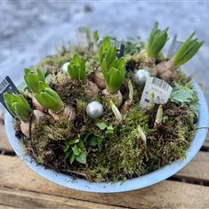 Bulb Planter
