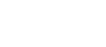 Tulipa Florist